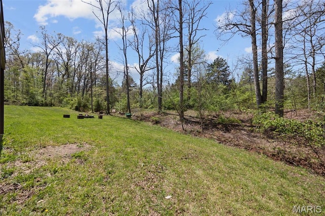 409 Pawnee Dr, Irondale, MO 63648 - view of grassy yard