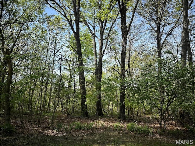 22 Sun Ridge Ests, Imperial, MO 63052 - photo 2