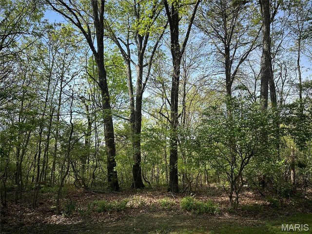 22 Sun Ridge Ests, Imperial, MO 63052 - photo 3