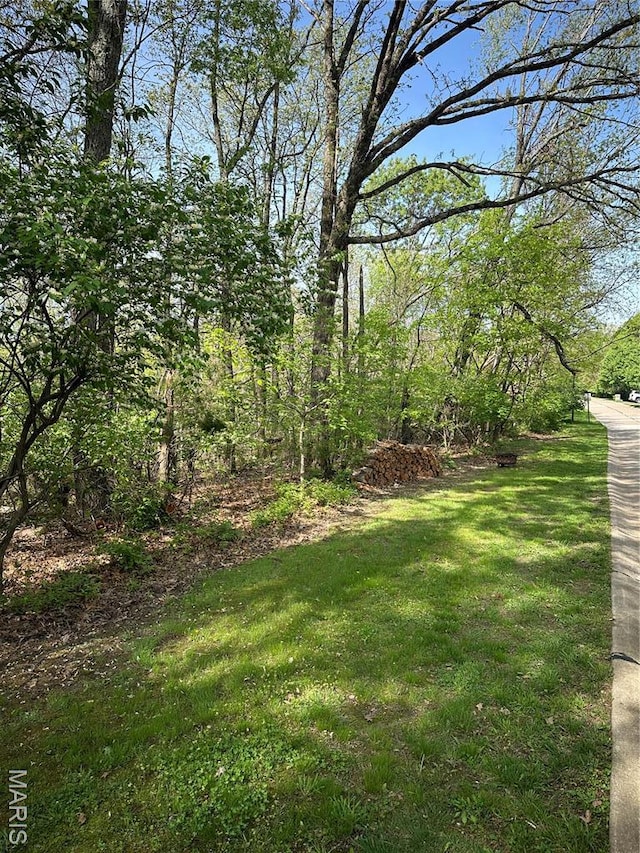 22 Sun Ridge Ests, Imperial, MO 63052 - photo 4