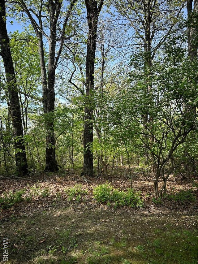 22 Sun Ridge Ests, Imperial, MO 63052 - photo 5
