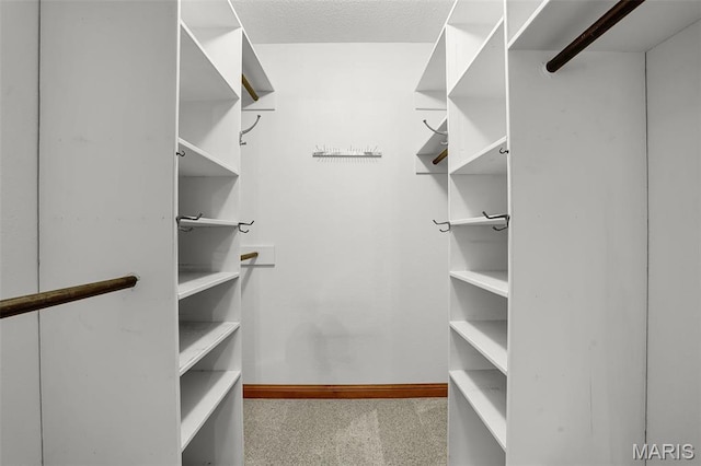 14 Sierra Dr, Glen Carbon, IL 62034 - view of spacious closet
