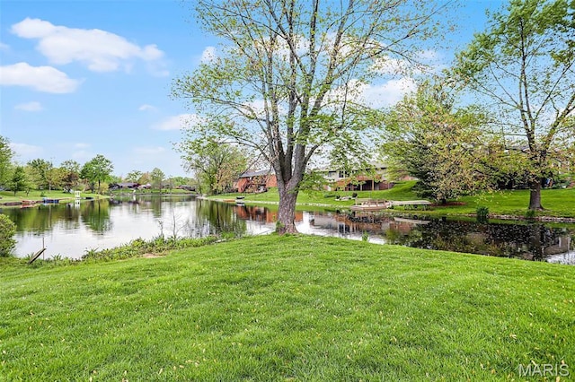 14 Sierra Dr, Glen Carbon, IL 62034 - view of grassy yard featuring a water view
