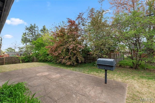 11735 Old Halls Ferry Rd, Florissant, MO 63033 - view of patio