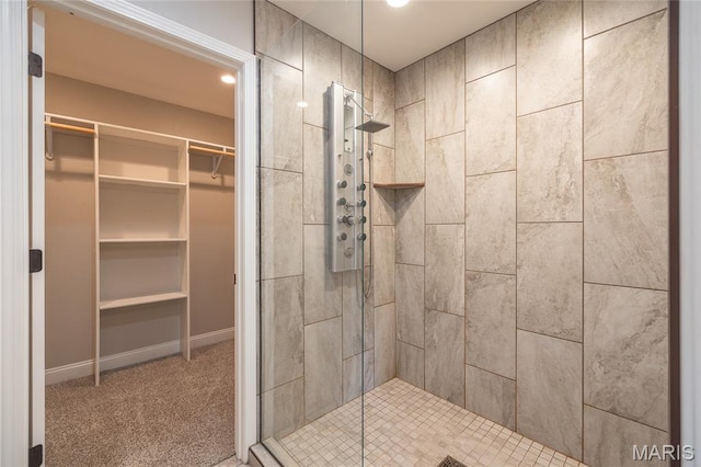 11175 Lexington Ln, Rolla, MO 65401 - full bath with a shower stall, a spacious closet, recessed lighting, and baseboards