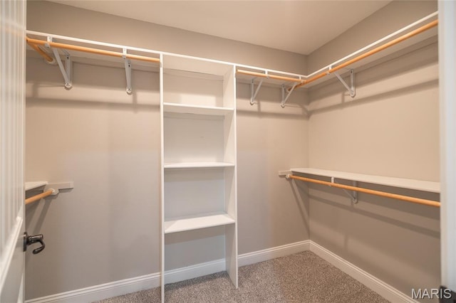 11175 Lexington Ln, Rolla, MO 65401 - walk in closet featuring carpet flooring