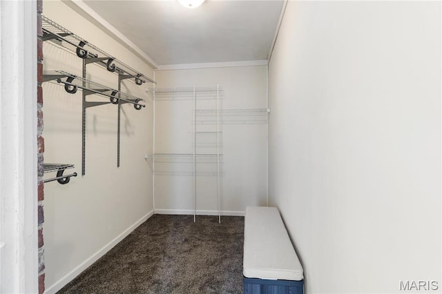 203 S B St, Bonne Terre, MO 63628 - spacious closet featuring carpet floors