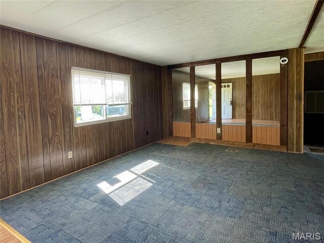 12678 Hyfield Rd, De Soto, MO 63020 - empty room with wooden walls and carpet floors