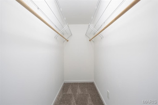 7648 Local Hillsboro Rd, Cedar Hill, MO 63016 - walk in closet featuring carpet flooring