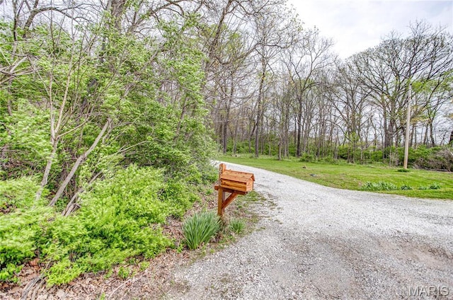 234 SE 350th St, Carrollton, IL 62016 - view of dirt / gravel road featuring a forest view