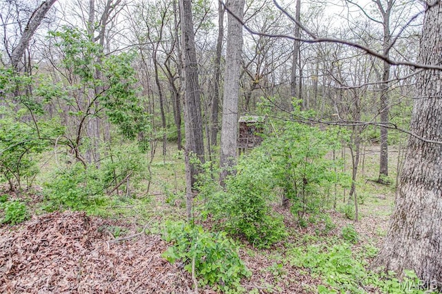 234 SE 350th St, Carrollton, IL 62016 - view of tree filled area