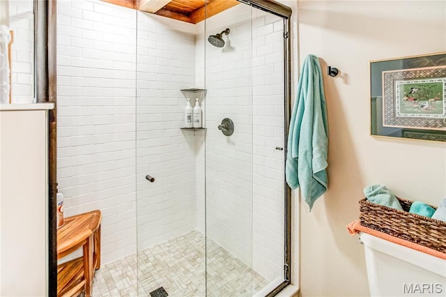 234 SE 350th St, Carrollton, IL 62016 - bathroom with a shower stall and toilet