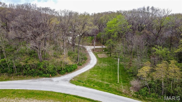 234 SE 350th St, Carrollton, IL 62016 - view of asphalt road featuring a view of trees