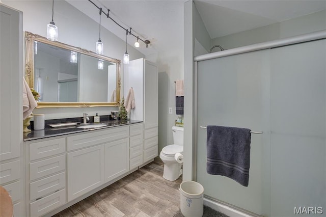 305 N Main St, Saint Genevieve, MO 63670 - bathroom featuring wood finished floors, a stall shower, toilet, vanity, and rail lighting