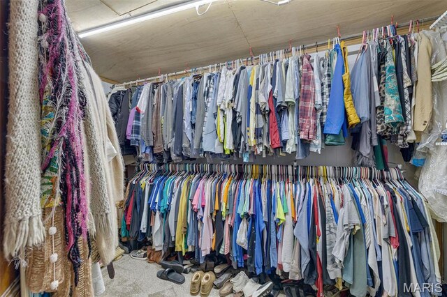 305 N Main St, Saint Genevieve, MO 63670 - spacious closet featuring carpet flooring