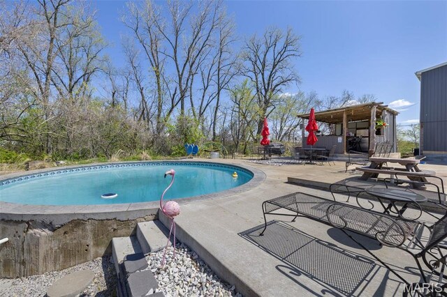 305 N Main St, Saint Genevieve, MO 63670 - swimming pool with a patio area