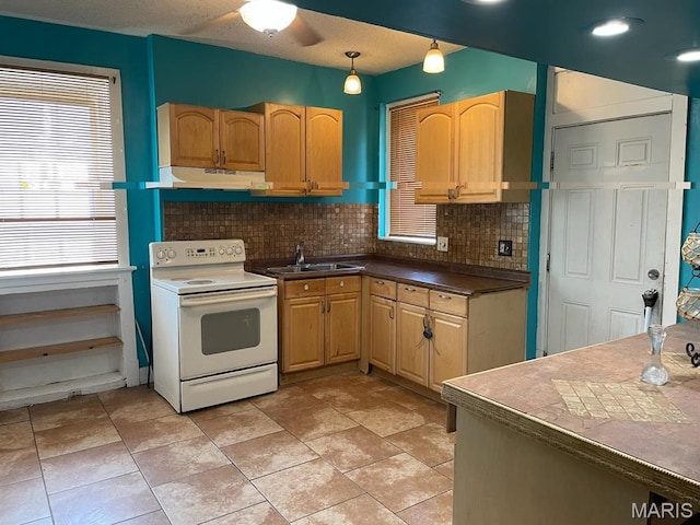 4972 Thekla Ave, Saint Louis, MO 63115 - kitchen with electric stove, a sink, under cabinet range hood, tasteful backsplash, and light brown cabinets