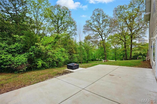 3535 Heather Rd, Festus, MO 63028 - photo 31