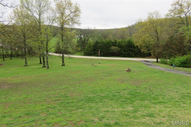 3535 Heather Rd, Festus, MO 63028 - photo 35