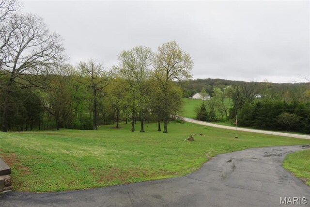 3535 Heather Rd, Festus, MO 63028 - photo 36