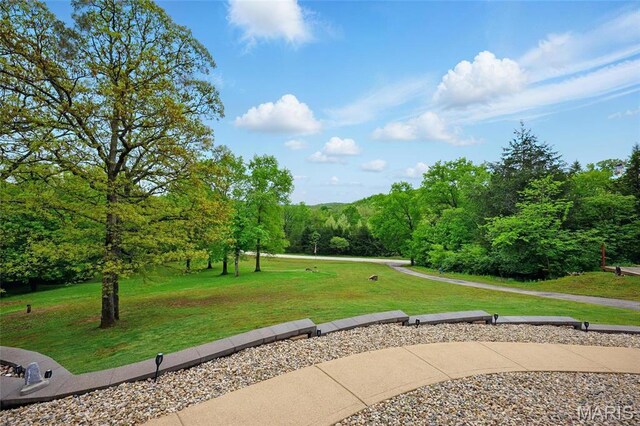 3535 Heather Rd, Festus, MO 63028 - photo 38