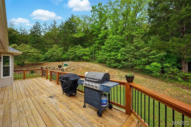 3535 Heather Rd, Festus, MO 63028 - photo 39