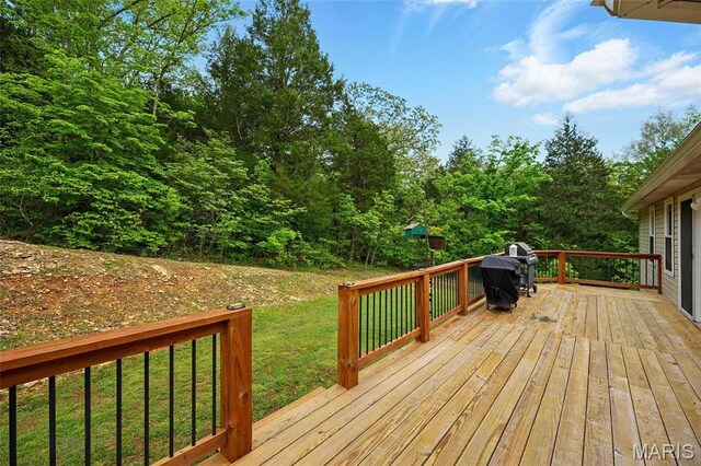 3535 Heather Rd, Festus, MO 63028 - photo 40