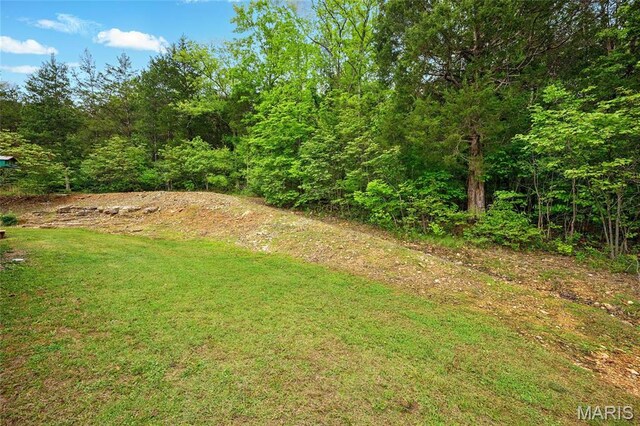 3535 Heather Rd, Festus, MO 63028 - photo 41