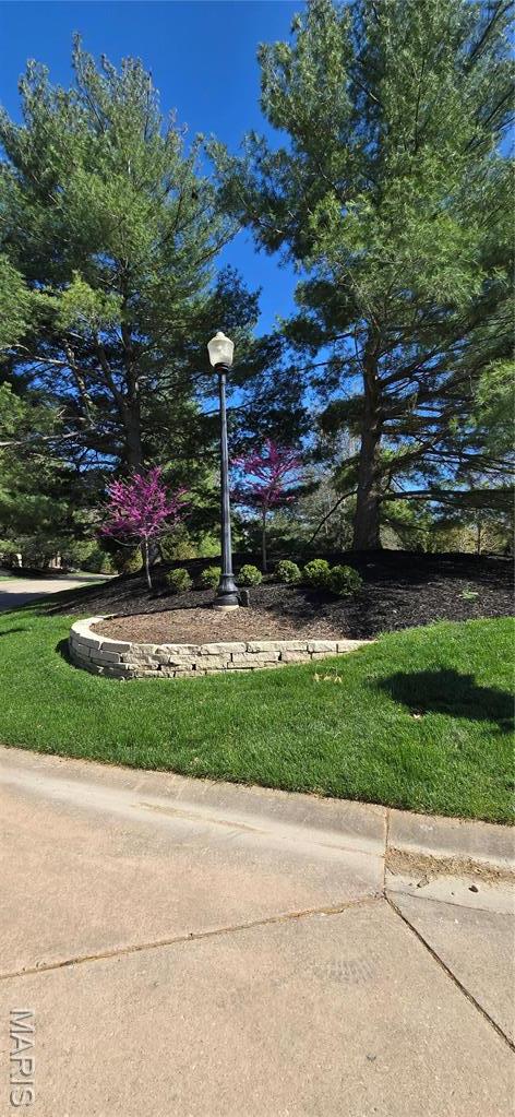 115 Bristol Park Ln, Edwardsville, IL 62025 - photo 2