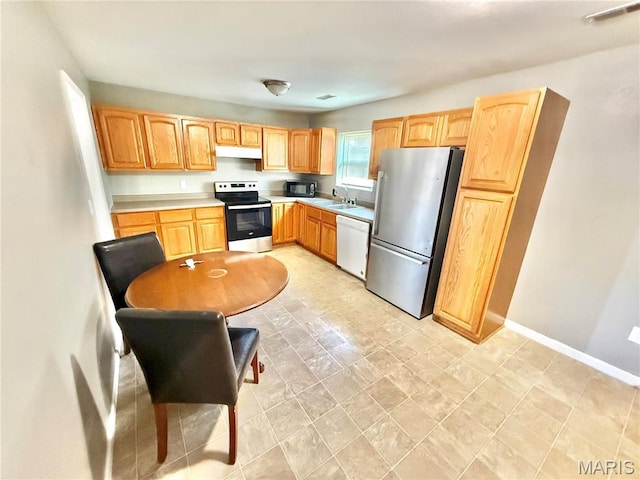 113 N Long St, Bonne Terre, MO 63628 - kitchen featuring stainless steel appliances, a sink, light countertops, under cabinet range hood, and baseboards