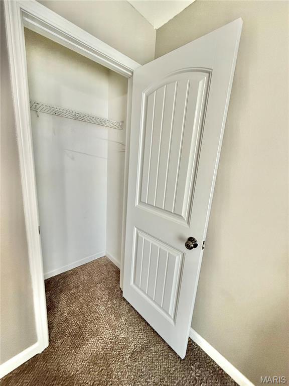 113 N Long St, Bonne Terre, MO 63628 - view of closet