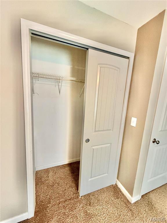 113 N Long St, Bonne Terre, MO 63628 - view of closet