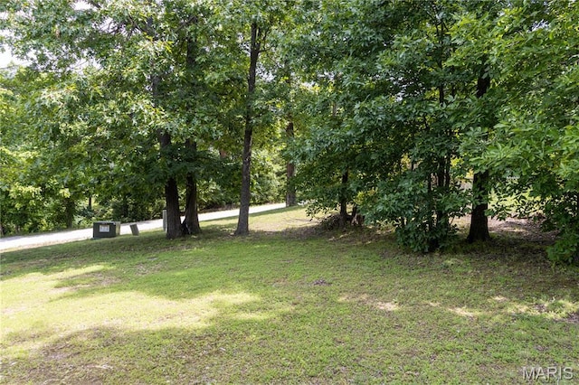 16910 Lawrence Dr, Saint Robert, MO 65584 - view of green lawn