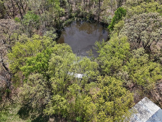 1849 Benson Rd, Hermann, MO 65041 - photo 10