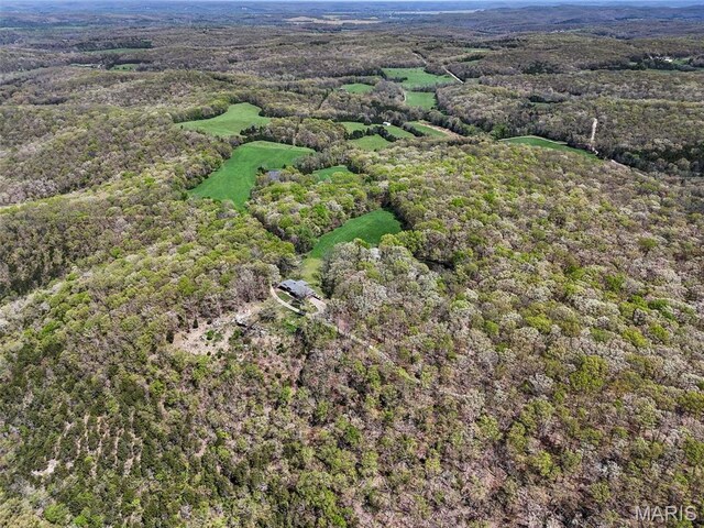 1849 Benson Rd, Hermann, MO 65041 - photo 17