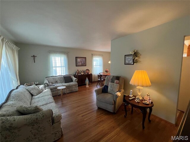 1717 Spring Ave, Granite City, IL 62040 - living room featuring wood finished floors