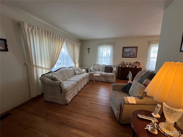 1717 Spring Ave, Granite City, IL 62040 - living room featuring plenty of natural light and wood finished floors