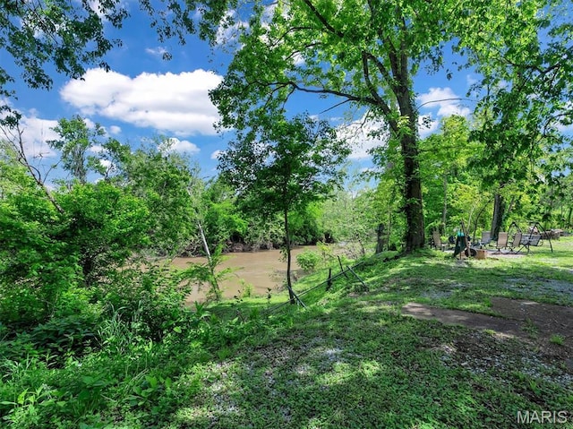 2822 State Rd W, Eureka, MO 63025 - view of undeveloped land
