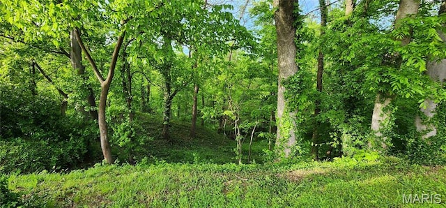 500 Church St, Chester, IL 62233 - view of tree filled area