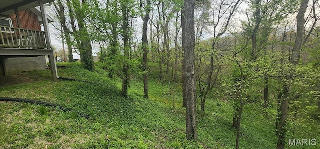 500 Church St, Chester, IL 62233 - view of yard
