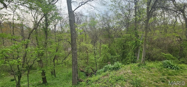 500 Church St, Chester, IL 62233 - view of tree filled area