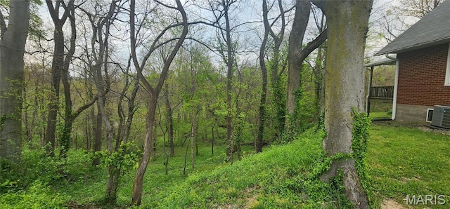 500 Church St, Chester, IL 62233 - view of woods