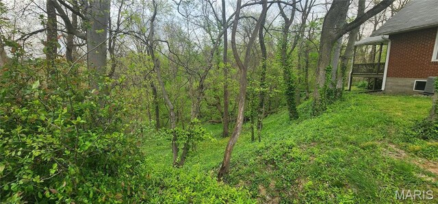 500 Church St, Chester, IL 62233 - view of undeveloped land