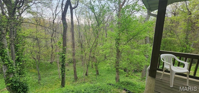 500 Church St, Chester, IL 62233 - view of woods