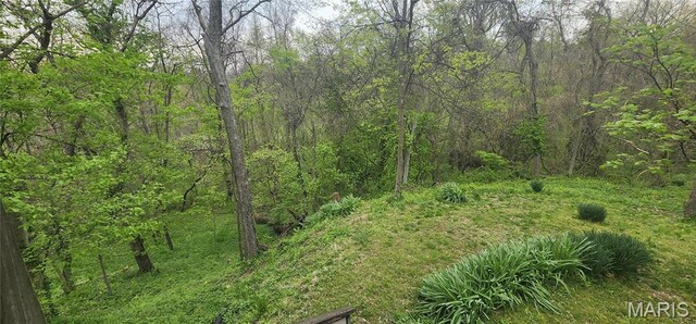 500 Church St, Chester, IL 62233 - view of woods