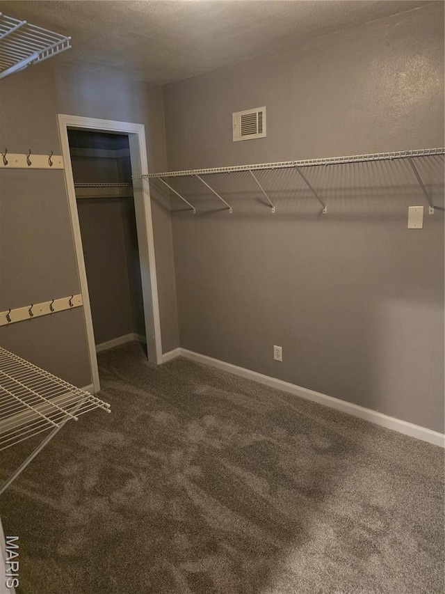 spacious closet with carpet flooring