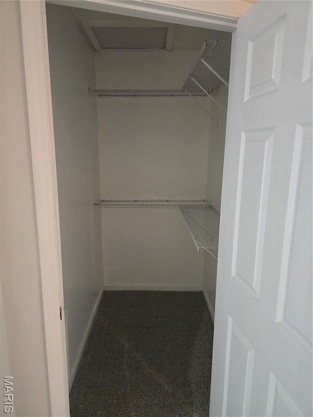 spacious closet with attic access and carpet flooring