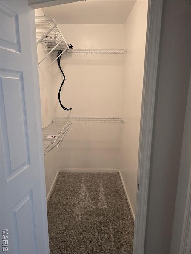 spacious closet with carpet floors