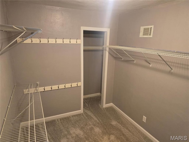 walk in closet with carpet flooring