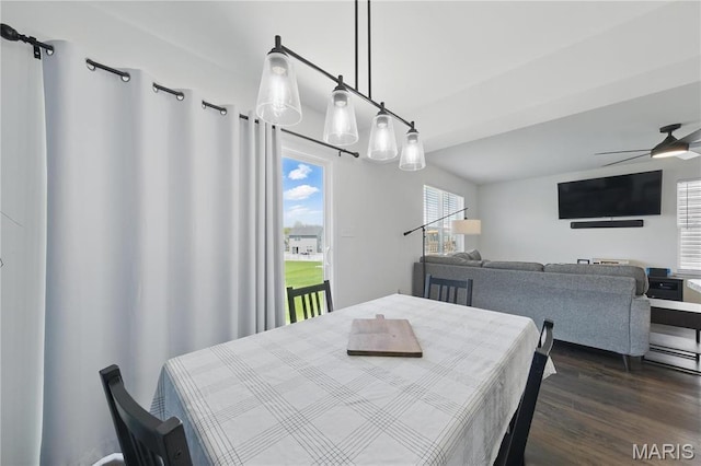 dining space featuring dark wood-style floors and a ceiling fan